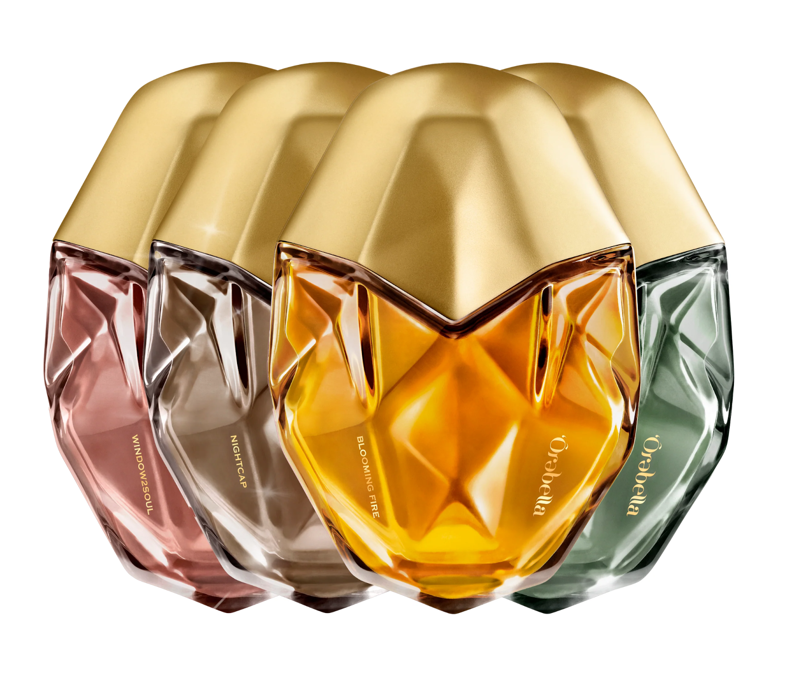 bella hadid perfume