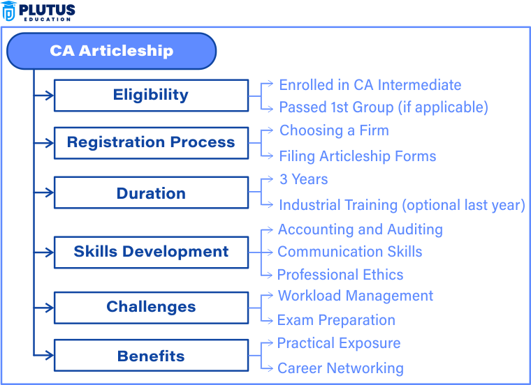 ca articleship