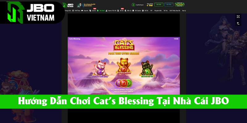 Thông tin chỉ dẫn cược thủ tham gia slotgame