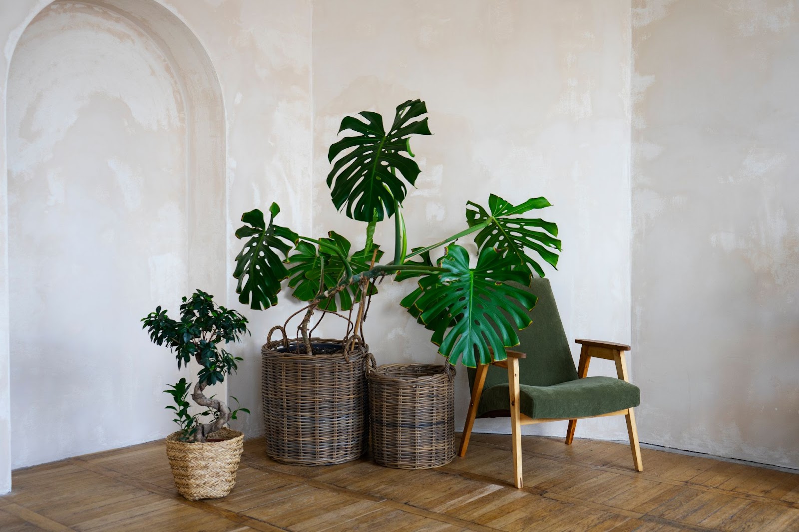 A living room corner is completely decorated with plants.