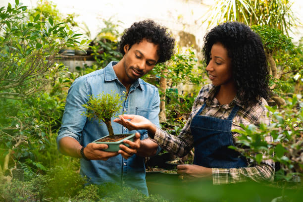 Woman talking to the man about the bonsai