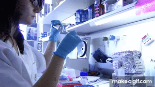 Centro de Biotecnología y Genómica de Plantas, CBGP (UPM-INIA) on Make a GIF