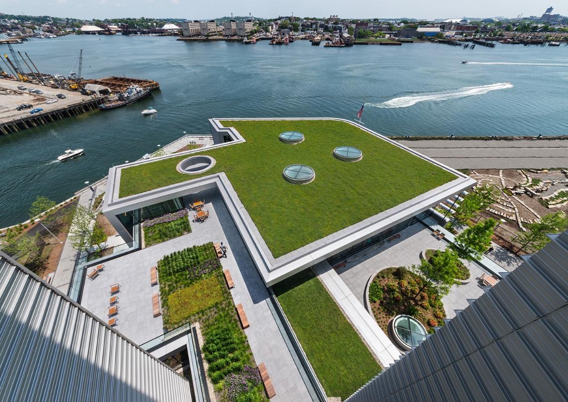 Spaulding Green Roof