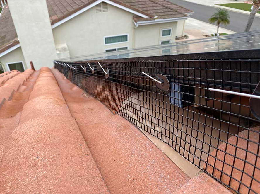 Solar Panel Bird Proofing Near Me