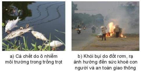 BÀI 26: SỰ CẦN THIẾT PHẢI BẢO VỆ MÔI TRƯỜNG TRONG TRỒNG TRỌT