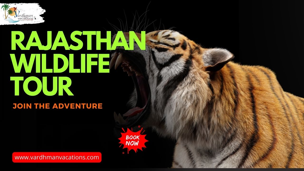 Rajasthan Wildlife Tour 