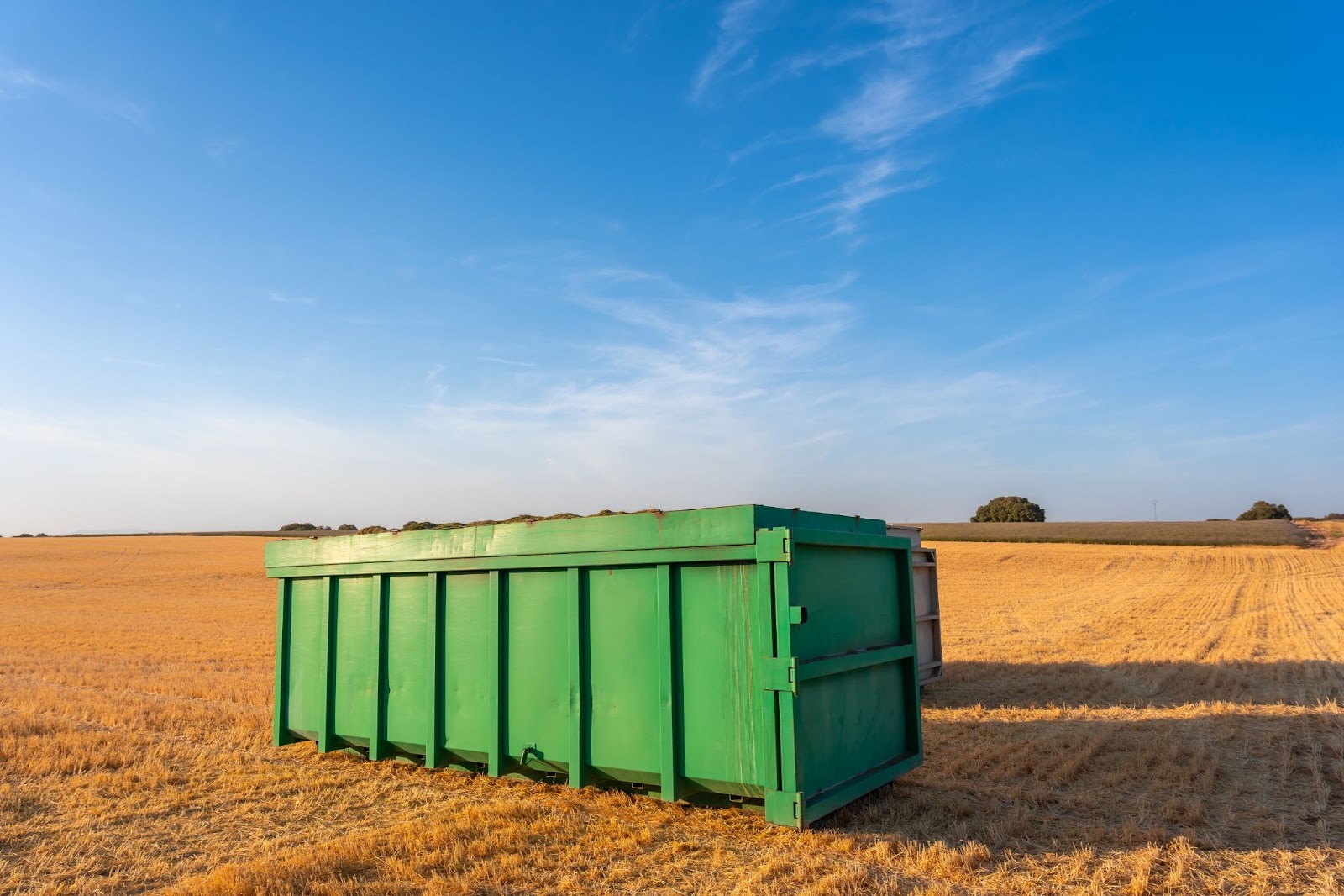 A green commercial dumpster sits in the field.