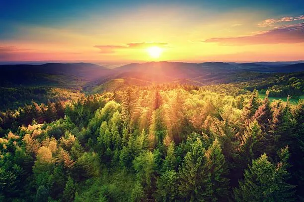 20 Quiet Rivers Through Majestic Landscapes, quiet river, majestic nature, nature, landscape, tranquil stream, serene valley