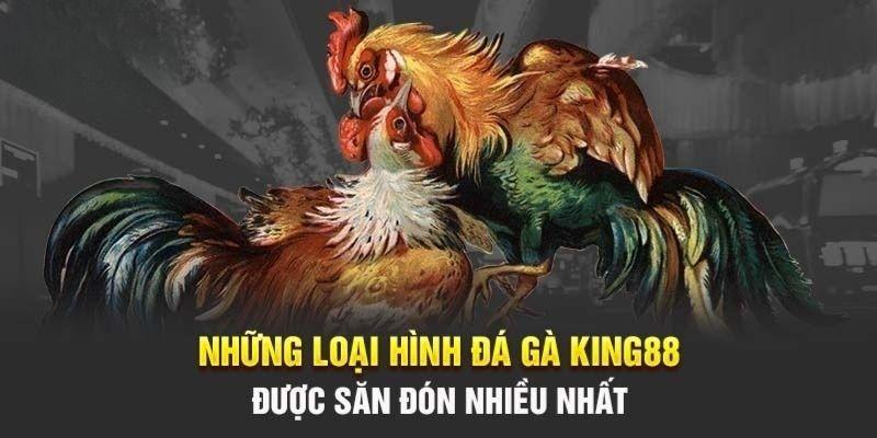 Các hình thức đấu chiến kê