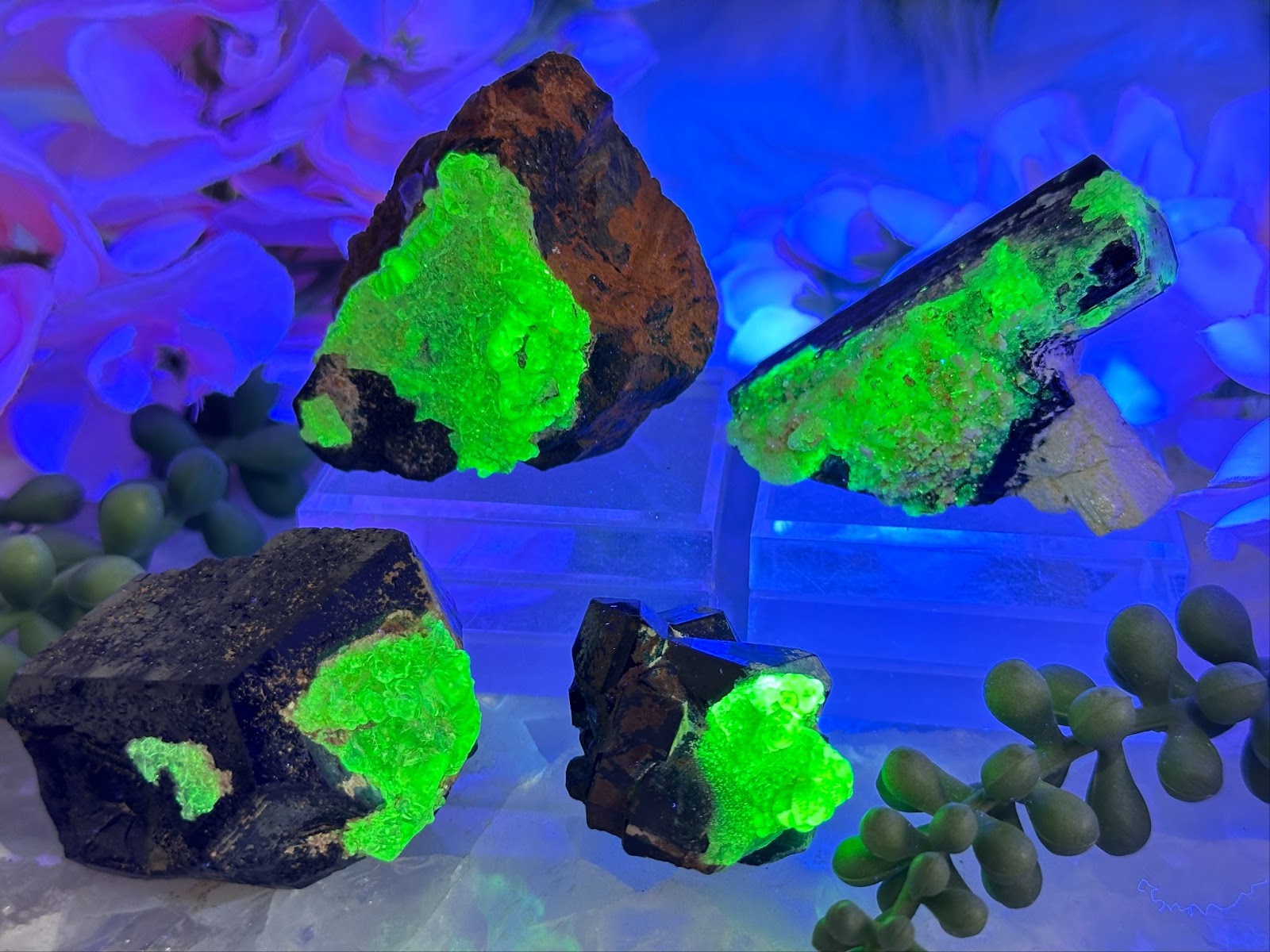 what crystals grow under uv light?