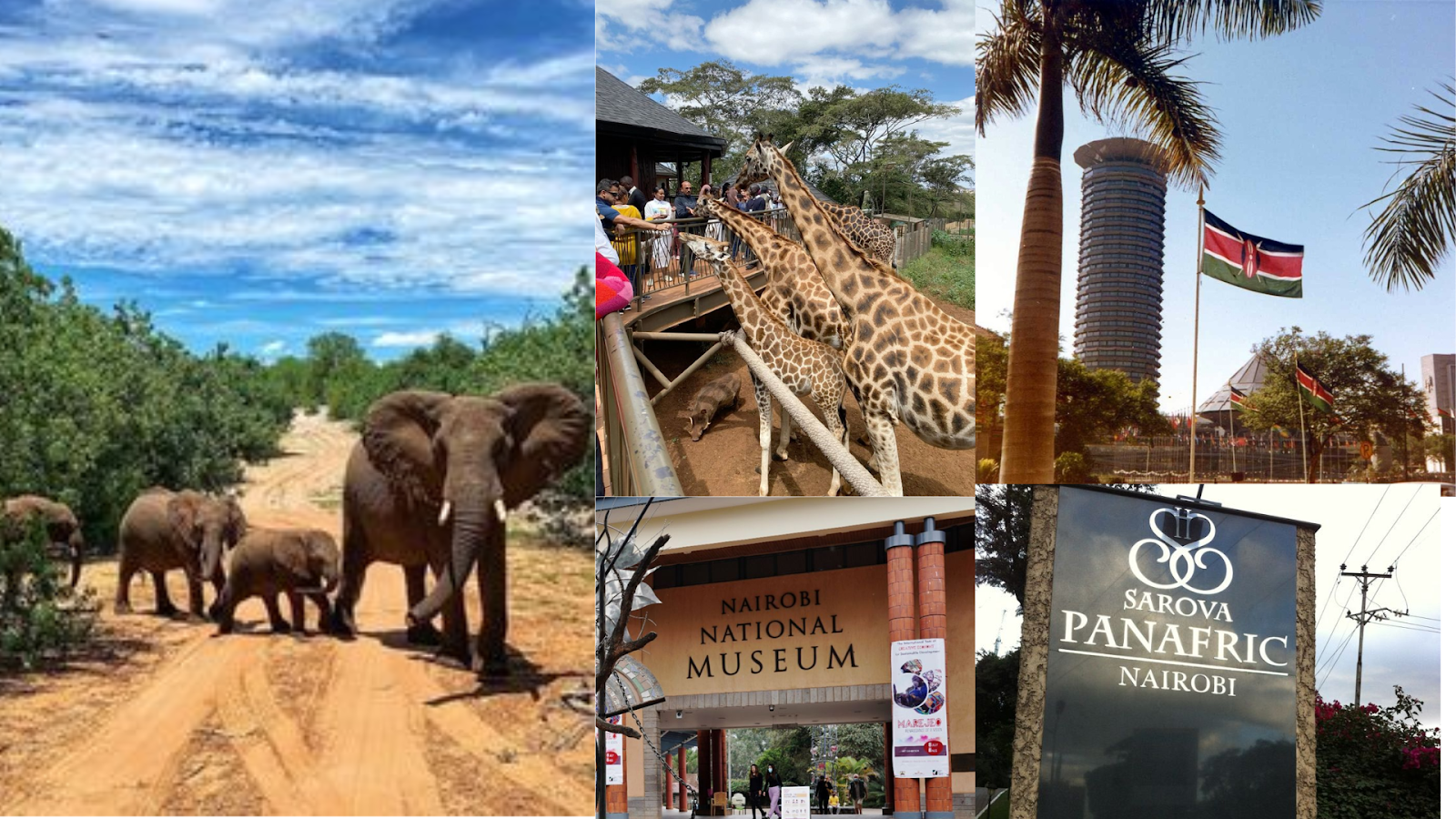 Top Attractions in Nairobi
