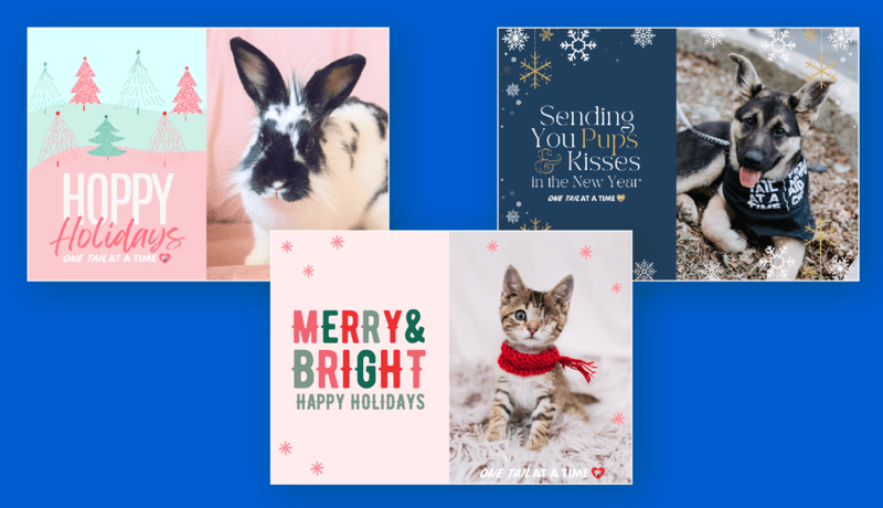 eCards depicting animals wearing holiday-themed clothing with holiday greetings written next to them.