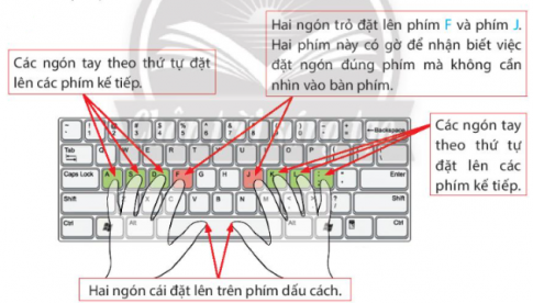 BÀI 2. GÕ BÀN PHÍM ĐÚNG CÁCH