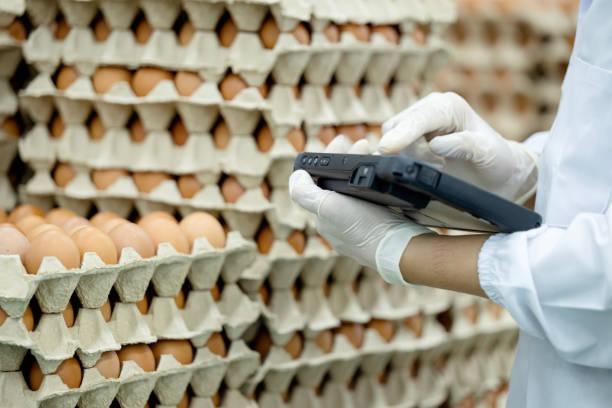 real-time production data and increased efficiency with poultry and eggs layer management solution. close-up shot of a production line worker using a tablet to input quantity data of fresh eggs on a package after the sorting and packing process. - smart packaging in agriculture stock pictures, royalty-free photos & images