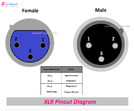 XLR Pinout, Wiring Diagram - Male and Female Connector - ETechnoG