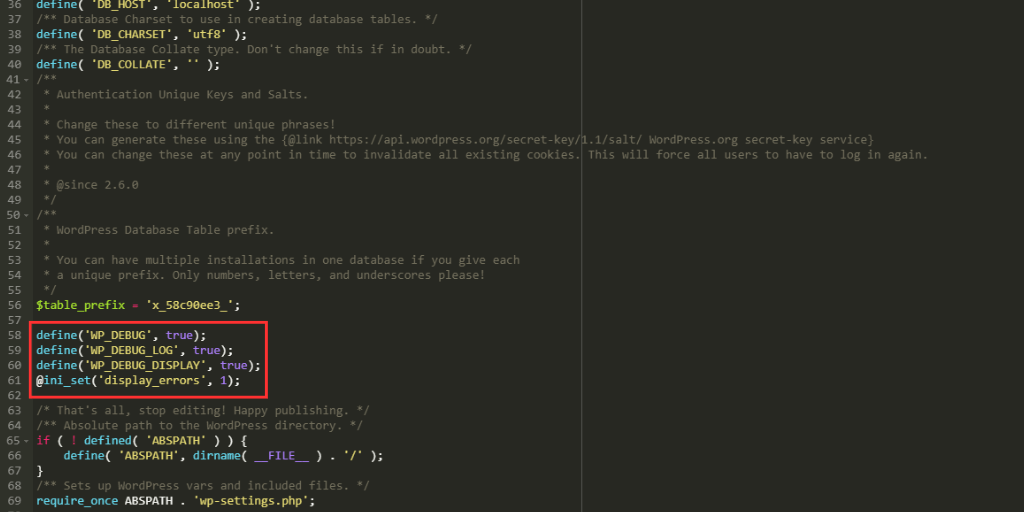 wp debug true 