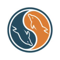 mysql logo