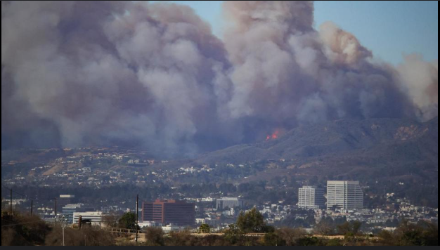 Pacific Palisades Fire
