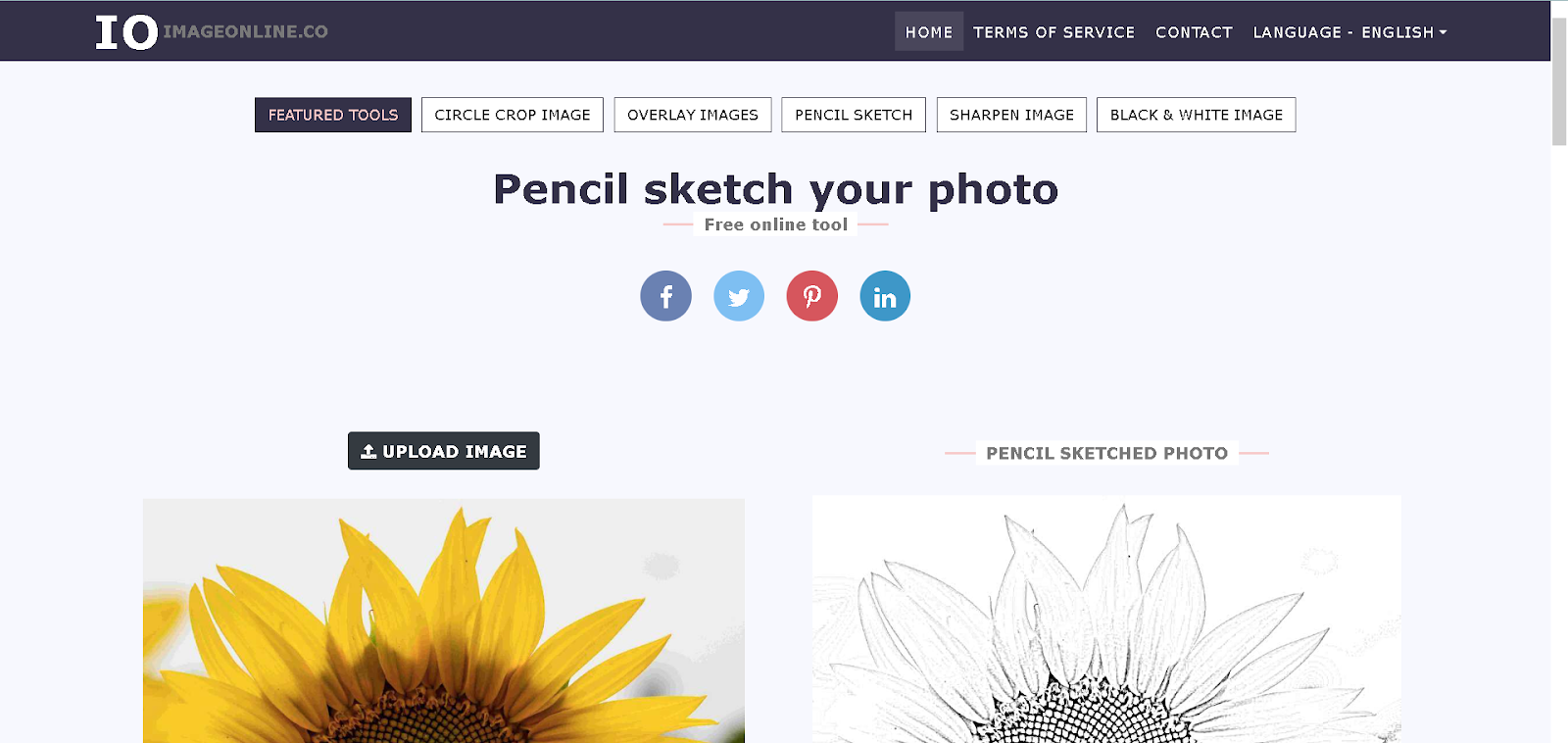  Top 5 Photo to Sketch Apps Use in 2024 for Creating Beautiful Sketches 6