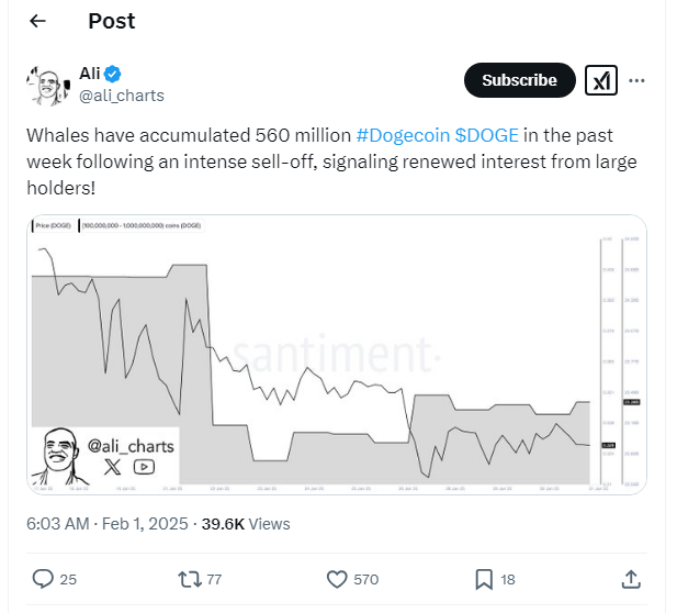 On-chain analyst and crypto investor Ali Martinez shares on February 1 that large holders have accumulated 560 million DOGE over the past week. (Source: X)