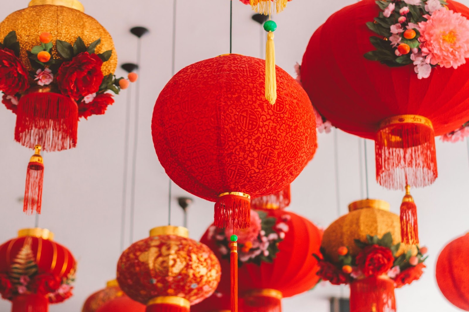 8 Things to Do this Chinese New Year (2025)!