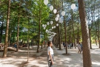 ULTIMATE Nami Island Itinerary & Garden of Morning Calm (2024)