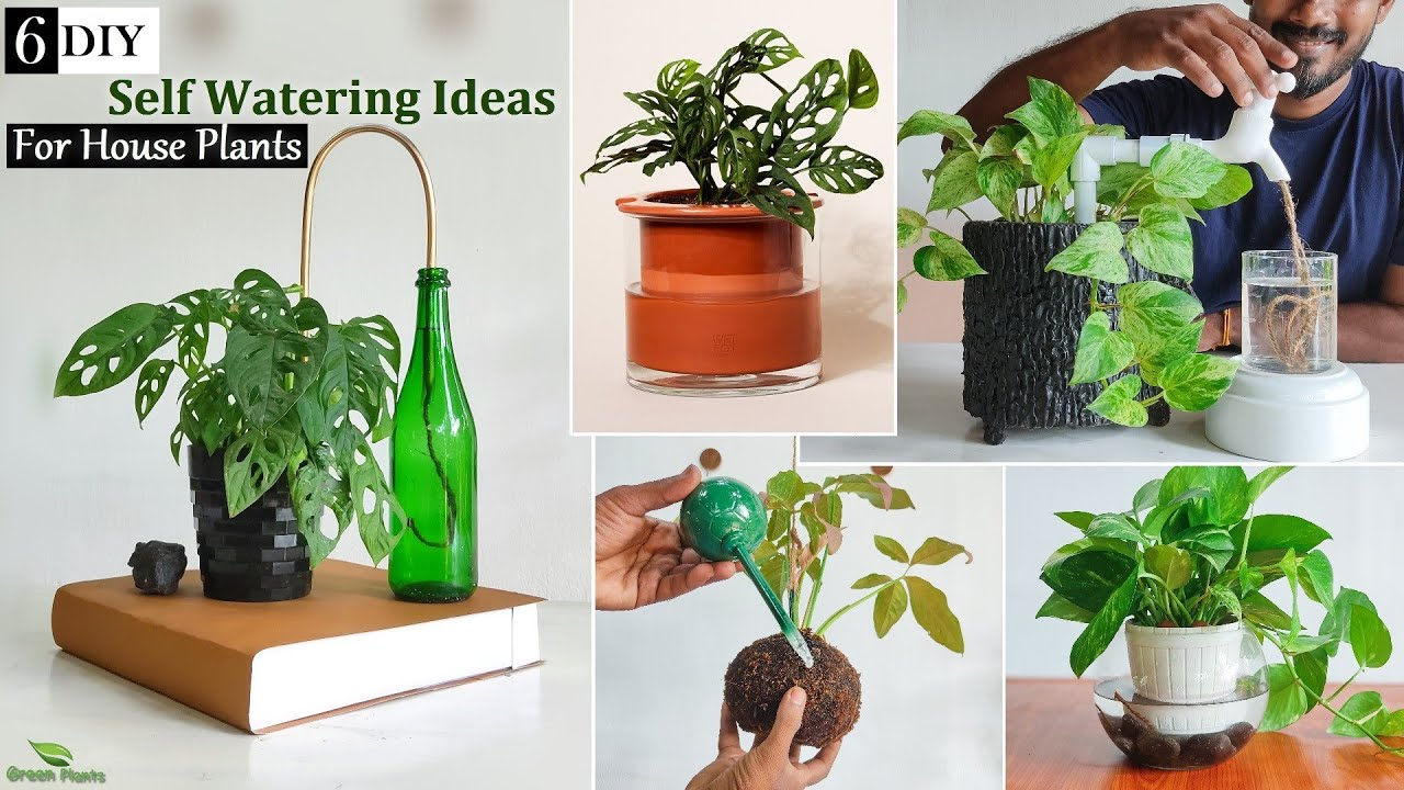 Indoor Plant Watering System