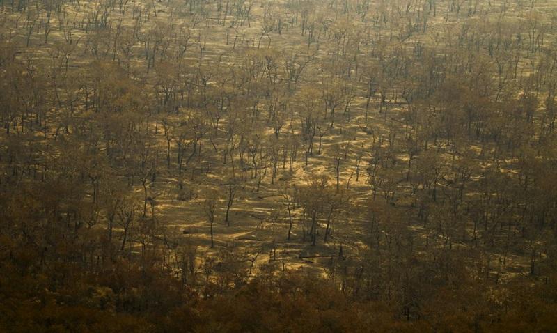 Seca e incêndios no Pantanal e Amazônia batem recordes