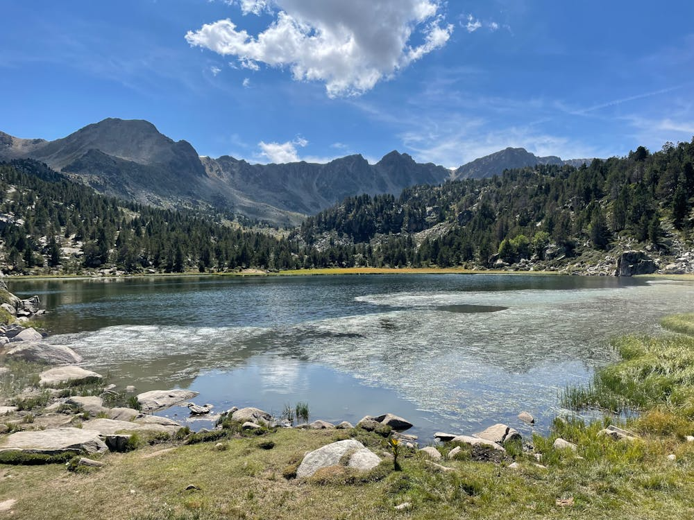Scenic view of a lake with alpine forest and mountains in the background. 