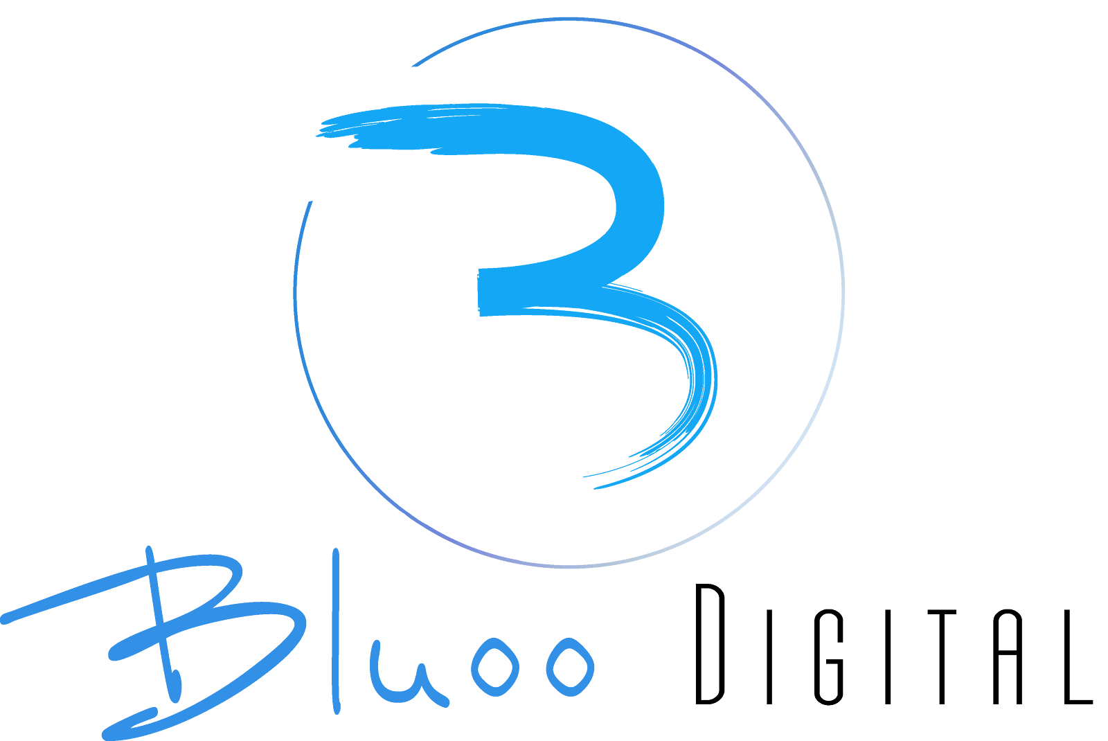 Bluoo Digital, a chatbot developer