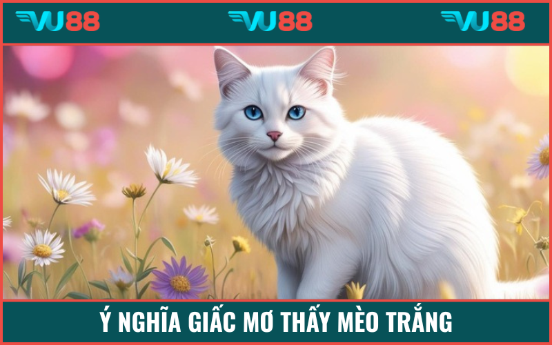 Thông điệp từ giấc mơ thấy con mèo trắng