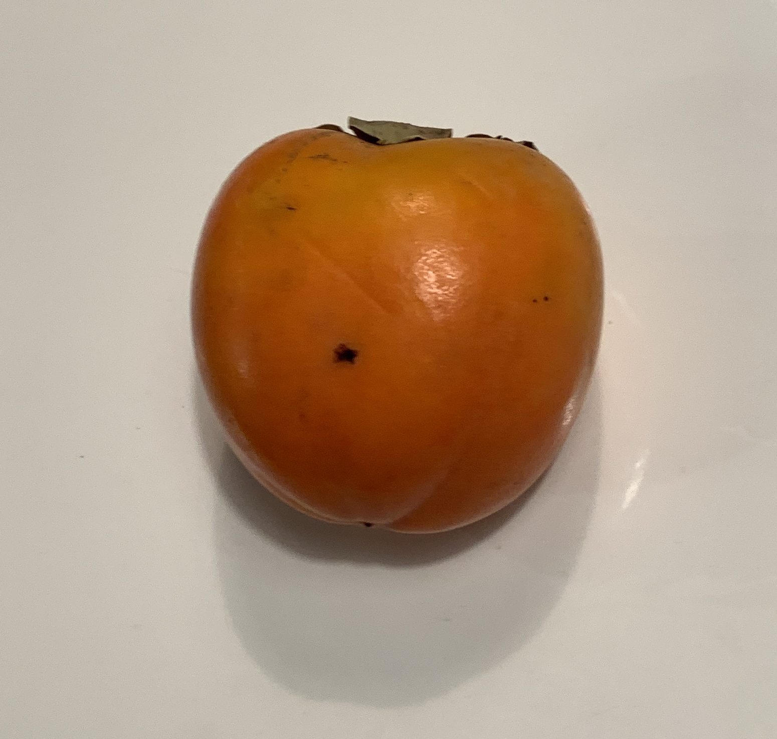 A persimmon in the author's kitchen.