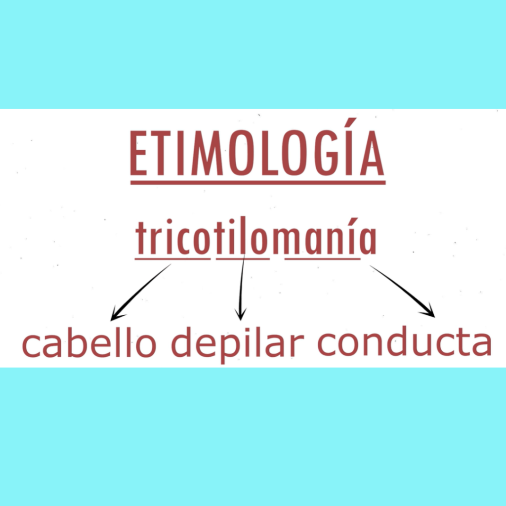 La imagen tiene un atributo ALT vacío; su nombre de archivo es varios-clinica-9-1024x1024.png
