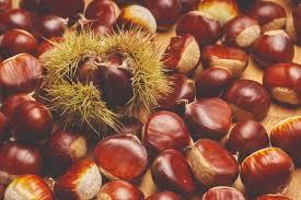 A group of chestnuts on a table

Description automatically generated