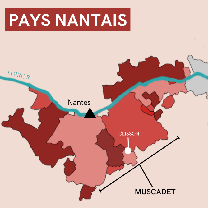 Guide to the Lower Loire: Muscadet and the Pays Nantais – Flatiron Wines & Spirits - Home