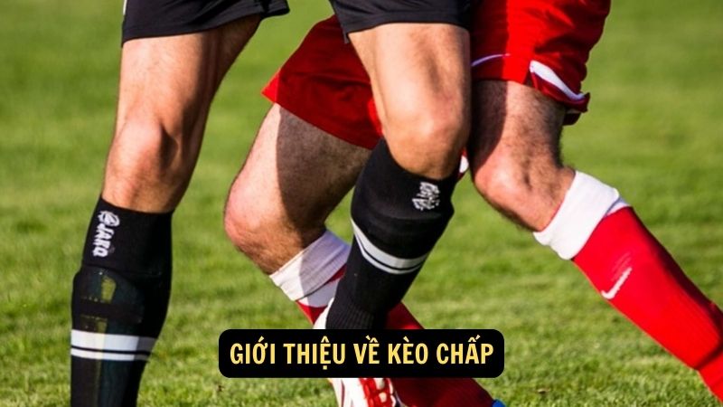 Giới thiệu về kèo chấp