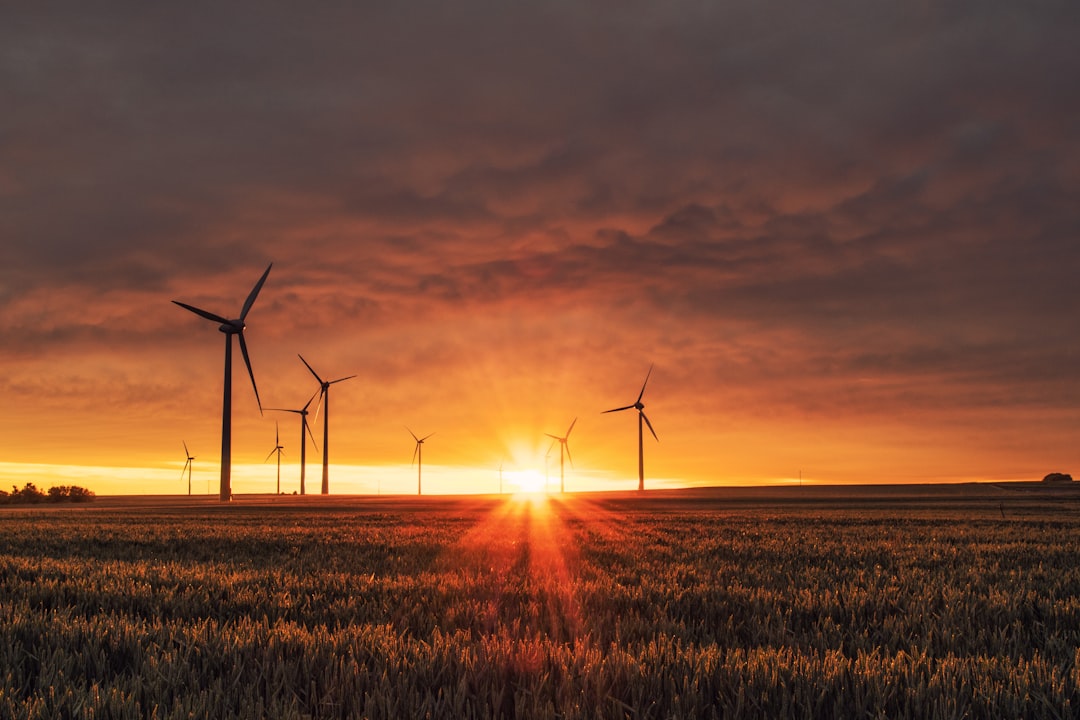 Wind turbines in a field