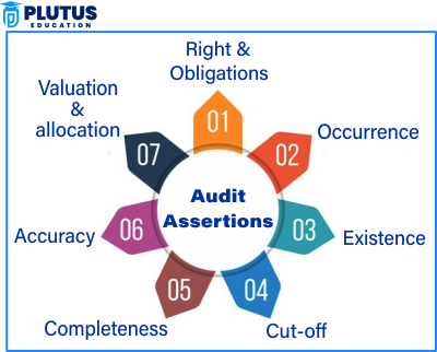 types of audit assertions
