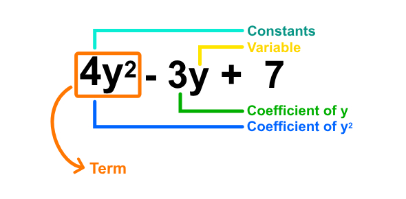 Parts of a mathematical expression