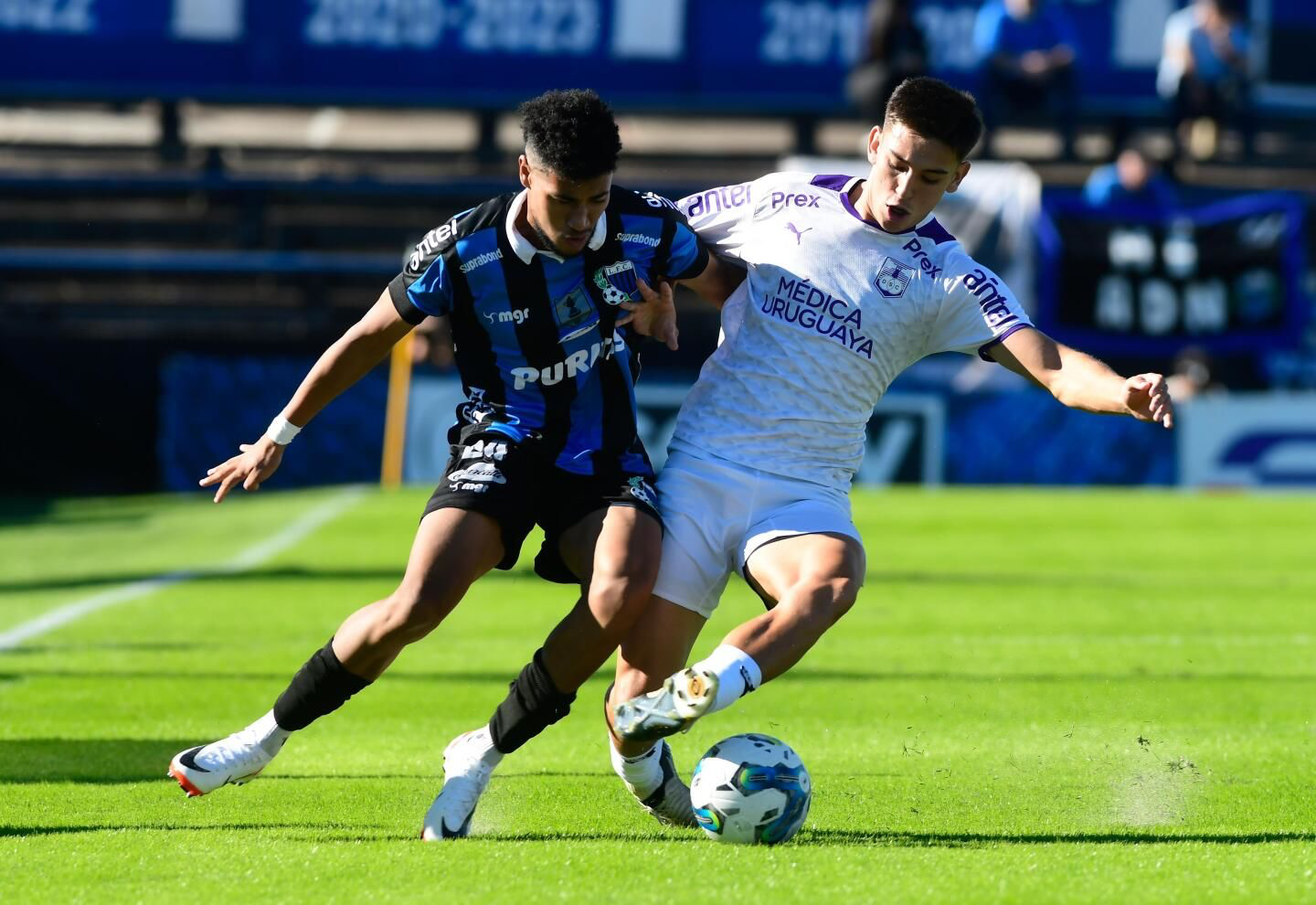 betace análise e previsões de futebol