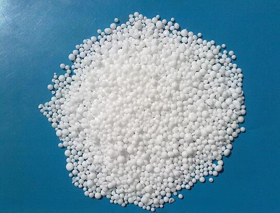Bệnh nứt thân, xì mủ: Nguyên nhân, triệu chứng & cách phòng trị