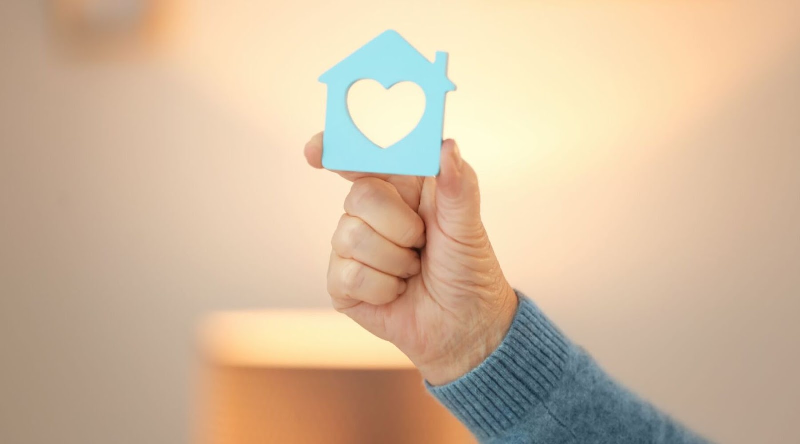 How Much Does a Non Medical Home Care Business Make: Revealed