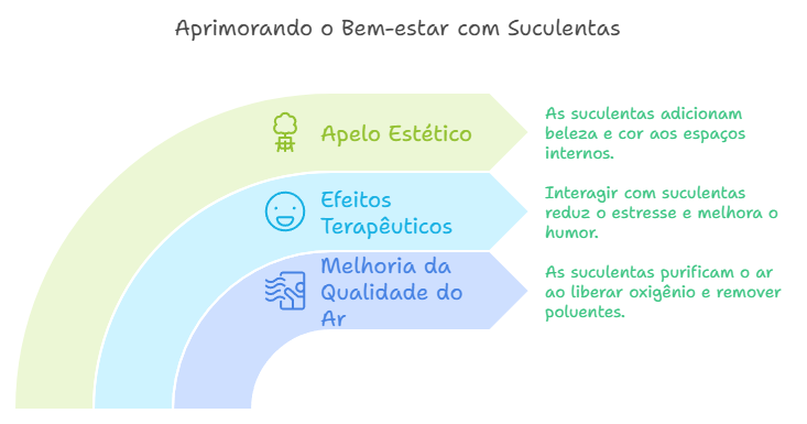 Benefícios das Suculentas para o Bem-estar