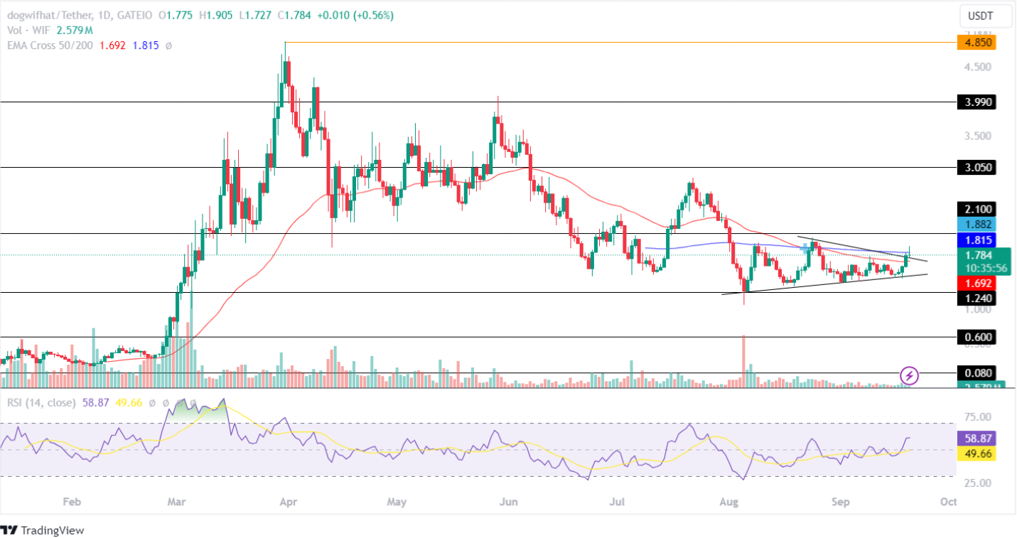 Dogwifhat Price Analysis September 2024