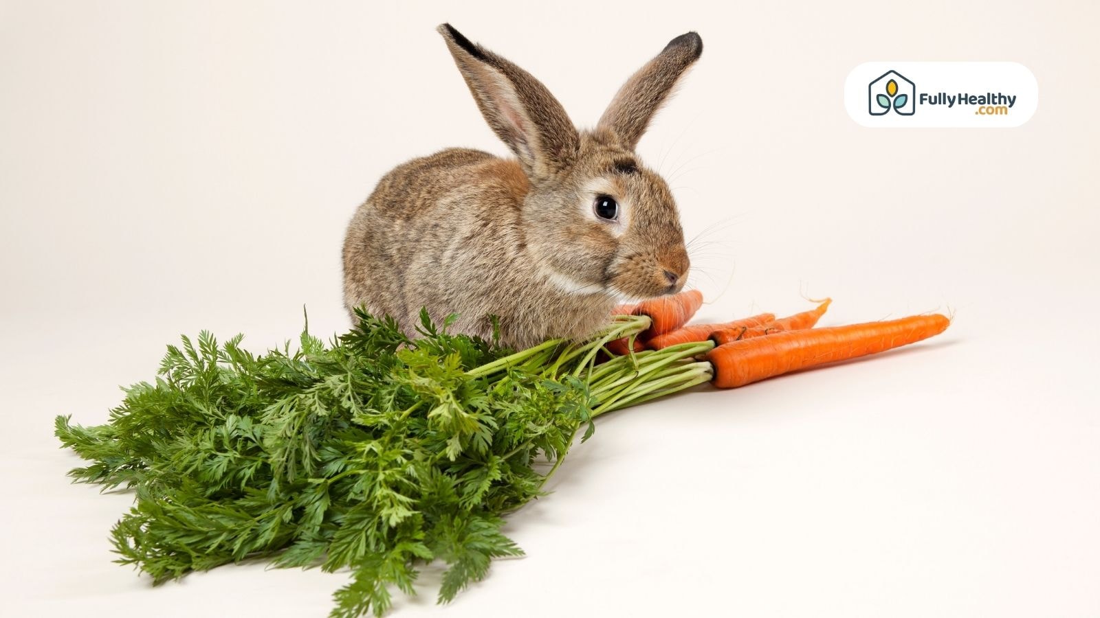Brown rabbit beside fresh carrots with green tops on white background