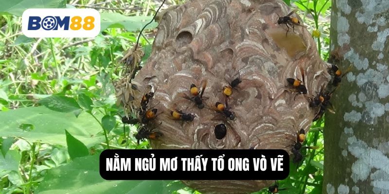 Nằm ngủ mơ thấy tổ ong vò vẽ