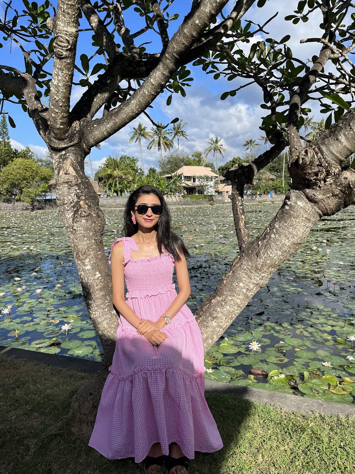 lagoon filled with blooming lotuses