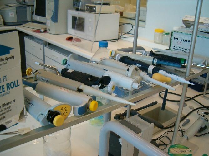 C:\Users\nicolaou.s\Dropbox\1. RESEARCH PROJECTS\EDUCATION\1. Strategic partnership\0. March 2023\WPs\WP3\Case studies\Using basic lab equipment\CS12-02 array of pipettes.jpg