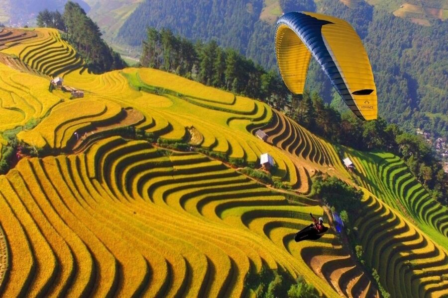 Paragliding to see ripe rice terraces in Mu Cang Chai. Source: Dan Tri