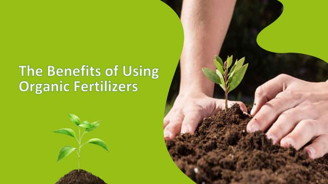 Benefits of Using Organic Fertilizers for Vegetables